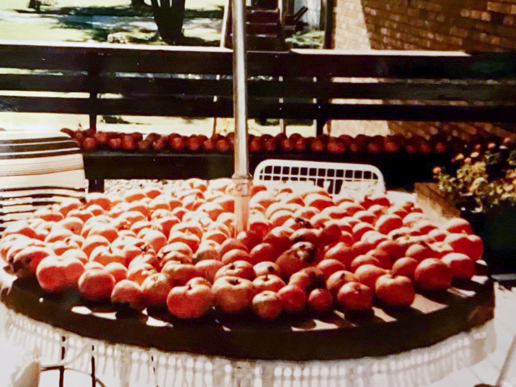 a display of tomatoes on an outside patio