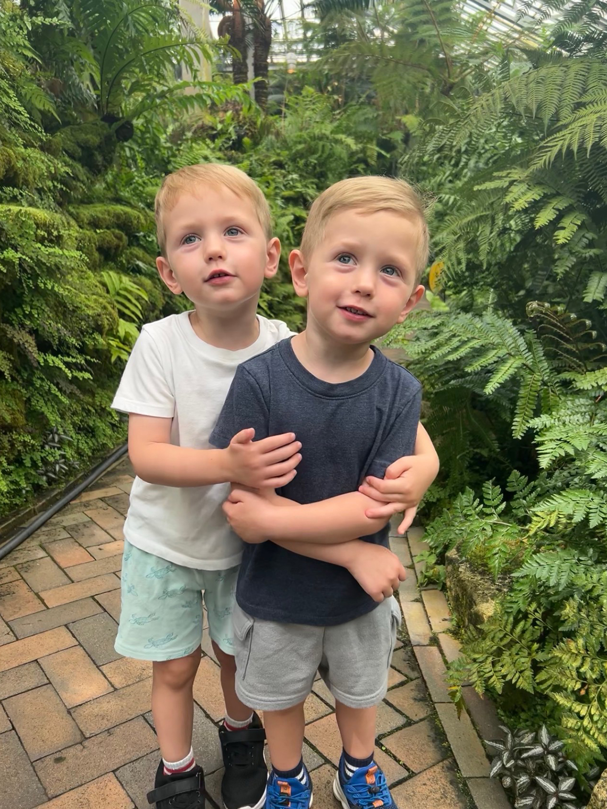 Twin toddler boys hugging each other as they stand on a brick sidewalk among green plants